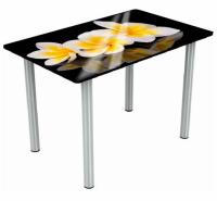 Фото stoly-obedennye-neraskladnye стол обеденный марсель исп.2 производитель Аврора