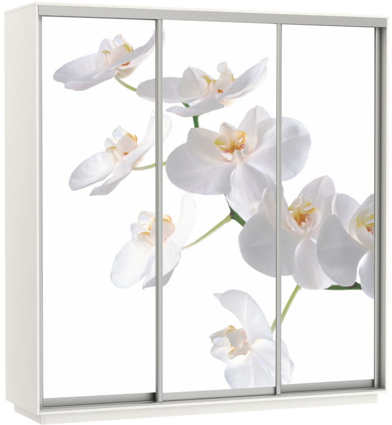 Фото Шкаф-купе Экспресс Трио Фото (2,4х0,6х2,4 - 3 двери) от производителя Мебельная компания Е1 в Краснодаре по цене 63&nbsp;870 ₽